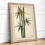 Bamboo in Silence Japandi - Framed Print-454359852-454359858
