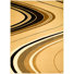 Brown/Beige