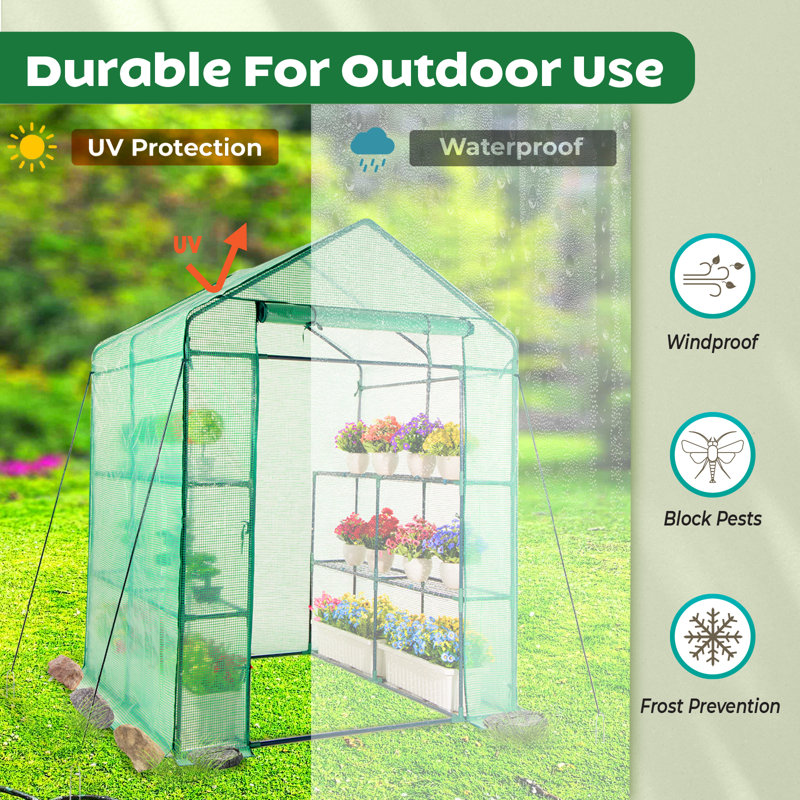 Green Walk-In Greenhouse with PE Cover and Steel Frame