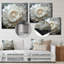 Coquillages monochromes-590417794