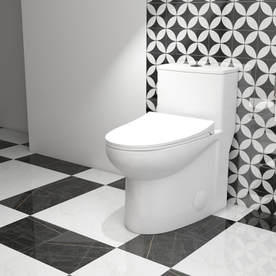 White Elongated One-Piece Ceramic Toilet, Dual Flush, Siphon Jet, 12" Rough-In