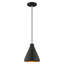 Luminaire suspendu conique à 1 lumière Schultz-349066266-349150416