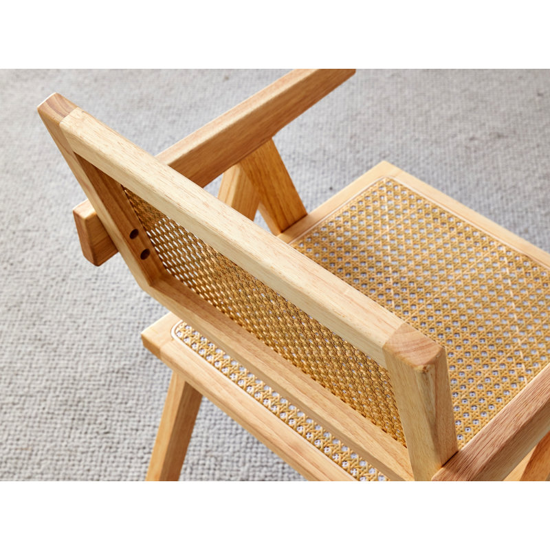 Faux fauteuil en rotin (ensemble de 2) chaise de loisirs pour l'intérieur et l'extérieur