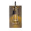 Erlenmeyer 1-Light Armed Sconce-7201377