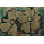 Tapis de style antique 4 x 7