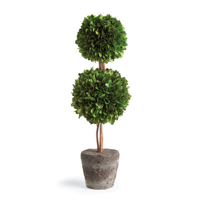 Centre de table en pot Alby