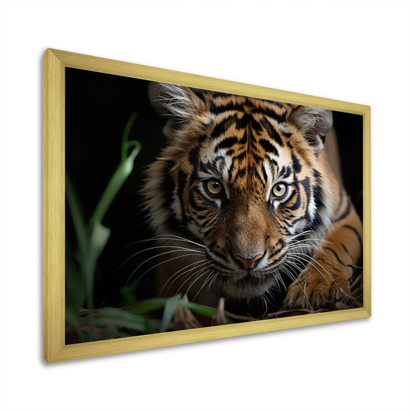Portrait de tigre brun - art mural tigre, H 12 po x l 20 po x P 1 po, Encadrement doré
