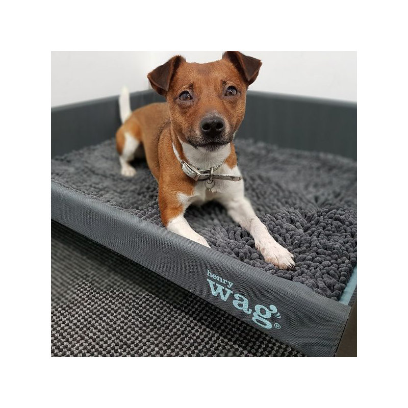 Microfibre Pet Bed, Medium (65cm W x 50cm D x 2cm H)