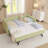 Cozy Gingham Daybed With Trundle Twin Sofa Bed, USB Port, Wave Design, Linen Fabric, No Box Spring Needed-1813168023