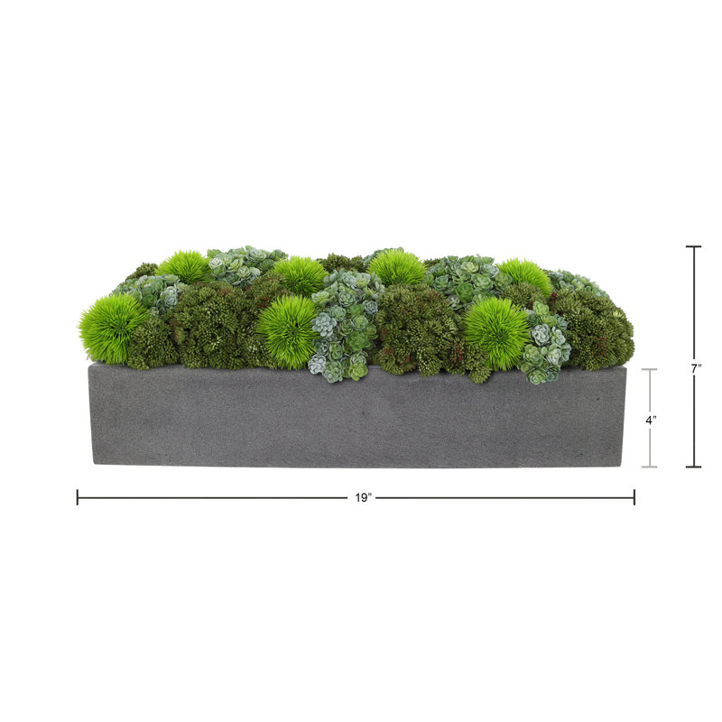 Assortiment de pots à fleurs Sedum in Fiberstone, Gris