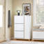 6 Pair Shoe Storage Cabinet