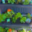 Photos des clients 1 de 4