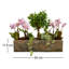 Handmade Planter Box