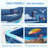 Plastic Rectangle Inflatable Pool 22'' H x 71'' W x 100'' L