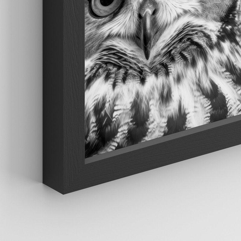 "Photographie de hibou noir et blanc" sur, H 10 po x l 8 po, Noir