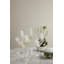 Cabernet Lines Drinking Glass