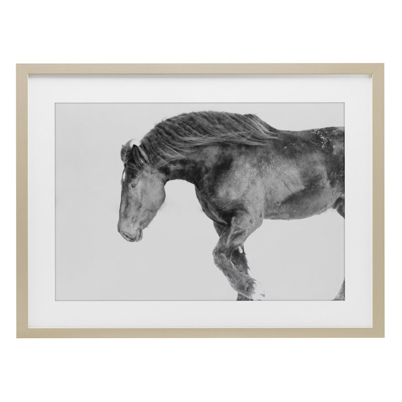 Winter Stallion Gallop, reproduction sous verre encadrée, conception par Amy Carroll, Cadre de récolte en pin