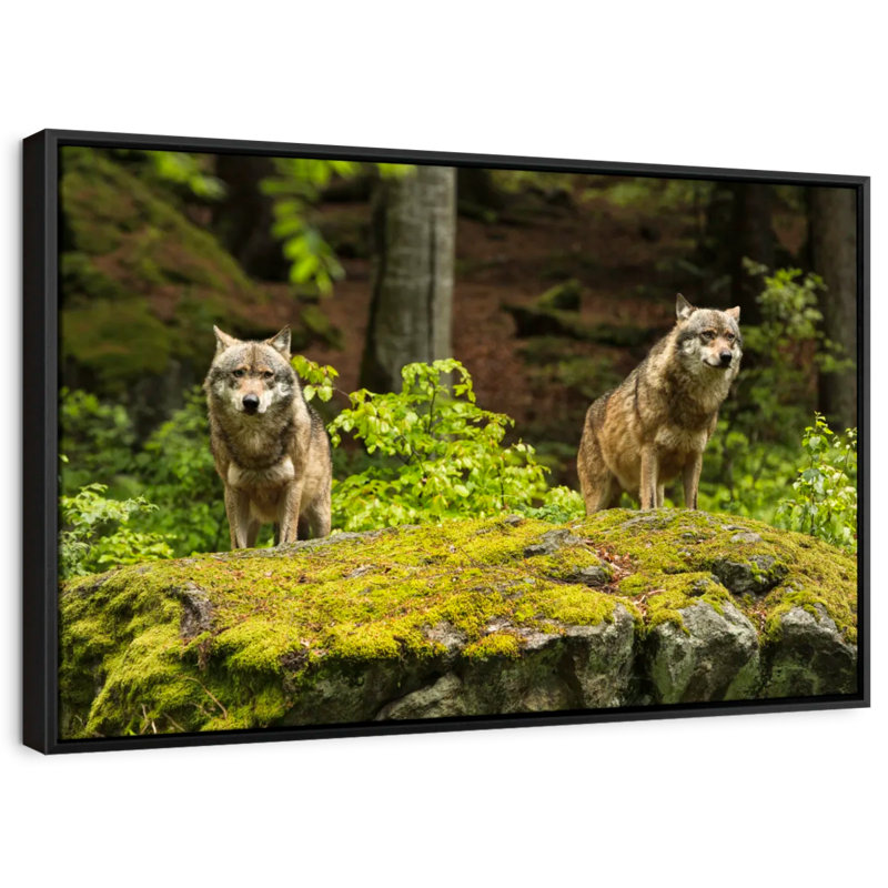 " Hunting Wolf Pack Wall Art ", 27" H x 40" W