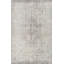 Tapis beige/gris traditionnel Goheen-1676038341
