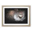 Floating Dandelion Seeds - Picture Frame Graphic Art Print-56863267-56863268