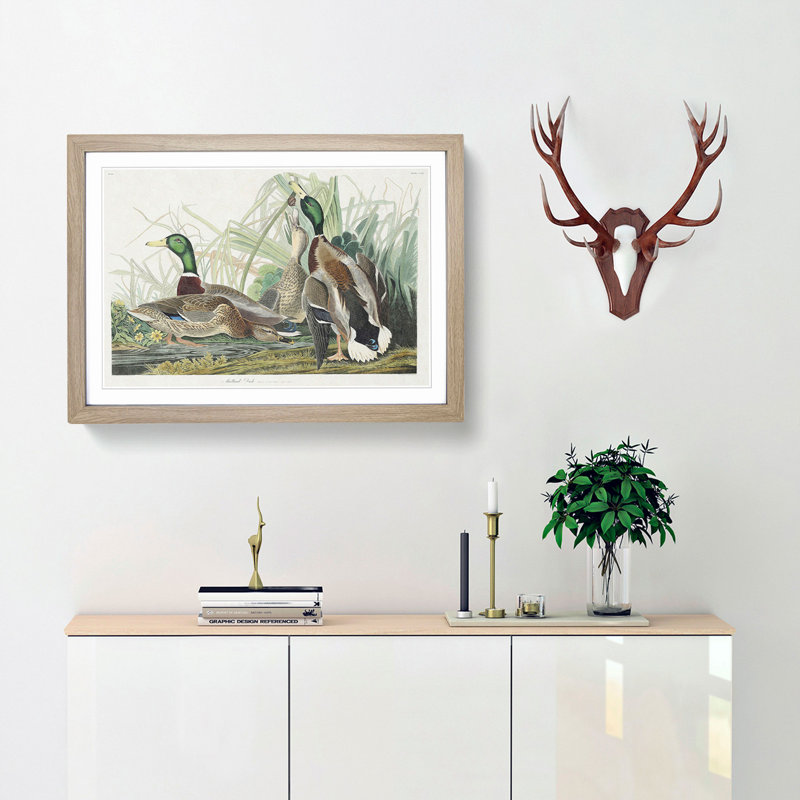 Mallard Ducks by John James Audubon - Picture Frame Art Print, 48cm H x 65cm W x 2cm D, Oak Framed