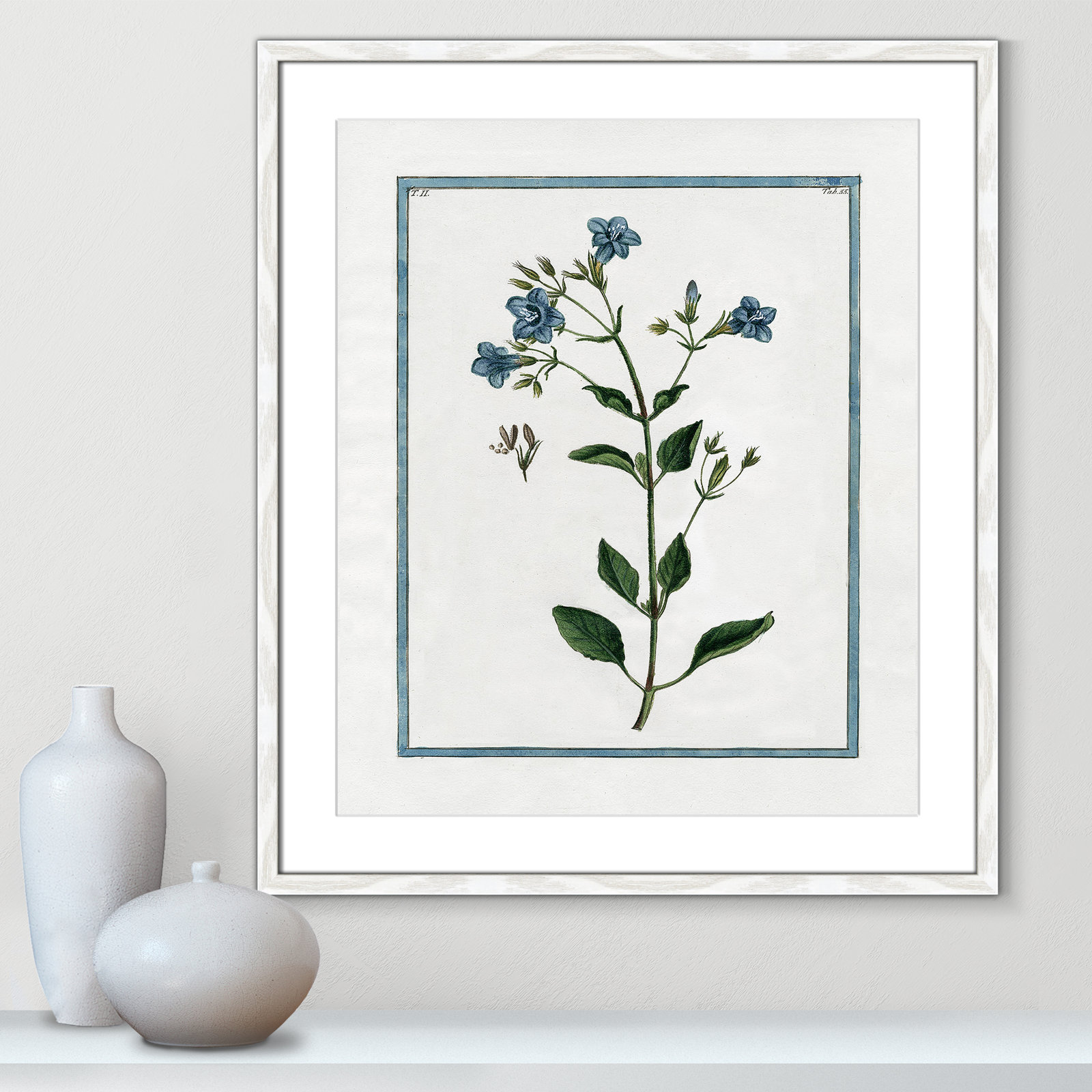 Shabby Elegance Botanical II - Framed Art, 21.5" W x 25.5" H, White Framed