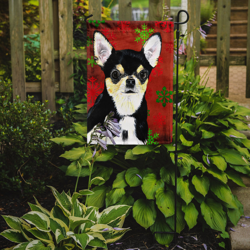 Drapeau rouge et vert Vart, Chihuahua (noir et blanc)