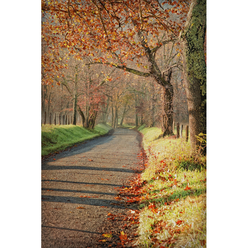 Morning on Sparks Lane III 1 Piece Wrapped Canvas Painting, 76cm H x 51cm W