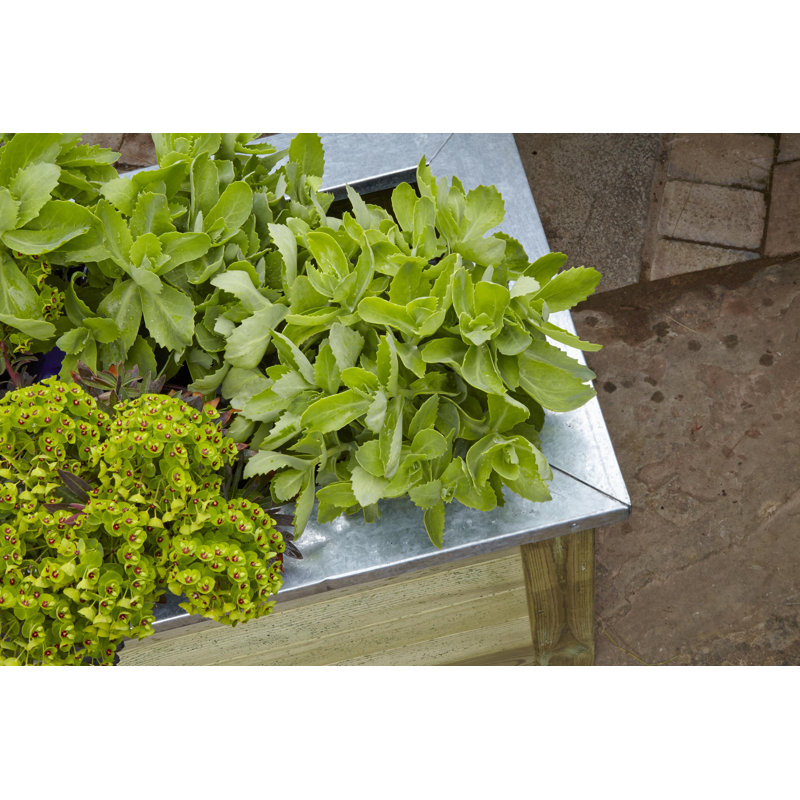 Estinnes Wooden Planter Box, 50 cm H x 100 cm W x 50 cm D