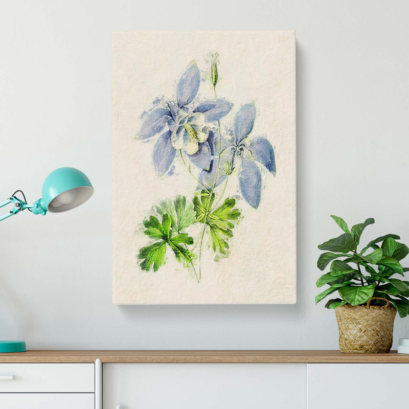 Illustration of Columbine Flowers - Wrapped Canvas, 50cm H x 35cm W x 3cm D