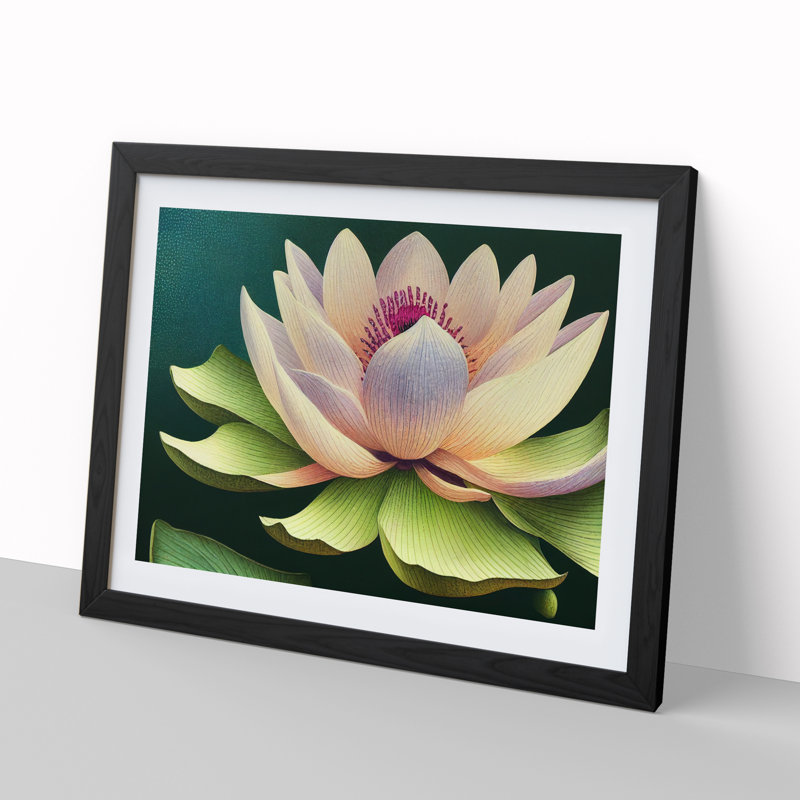 Precious Lotus Flower - Framed Print, Black Framed, 25cm H x 34cm W x 2cm D