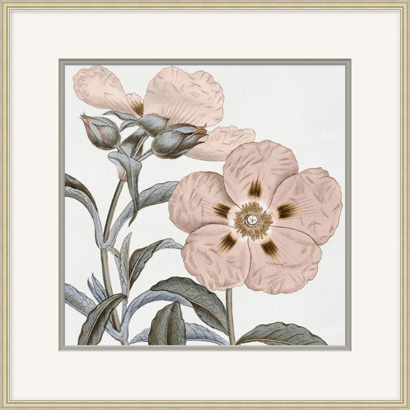 Classic Efflorescence " Classic Efflorescence 1 "