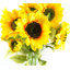 Plastic, Silk Artificial Arrangement-89222296