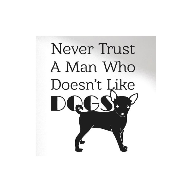 Non-Wall Damaging Wall Decal, Black, Large