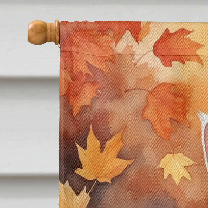 Chat en feuilles d'automne, Turc de Van