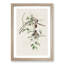 Carolina Titmouse Birds by John Audubon - Picture Frame Painting Print-55513724-55513725