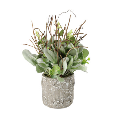 Polysilk Lambs Ear Arrangement in Pot
