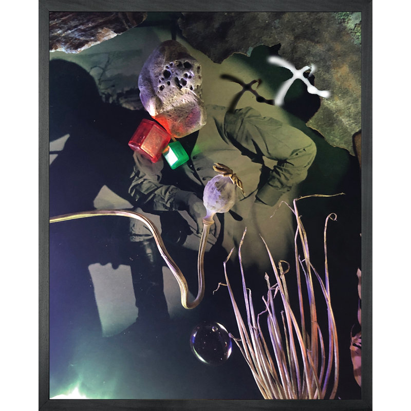The Monster - Single Picture Frame Print on Canvas