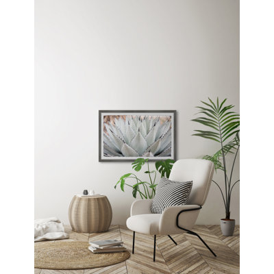 Parry's Agave - Single Picture Frame Painting