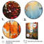 Birch Woods Autumn Harmony III, reproduction d'art sur toile-1839252964-1839252965