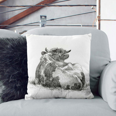 Square Throw Cushion