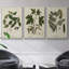 Knorr Shells & Coral VI, ensemble de 3 toiles encadrées sur toile-97792223-97792218