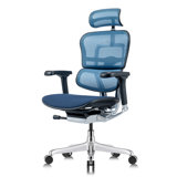 Tempur-Pedic Ergohuman GEN2 Hi Back Ergonomic Office Chair with Tempur-Pedic Seat, Synchro-Tilt, Adjustable Headrest, Arm Height Adjustment