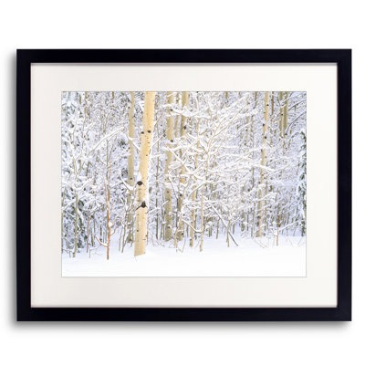 Winter Aspen Grove Portrait Print by Bruce Heinemann