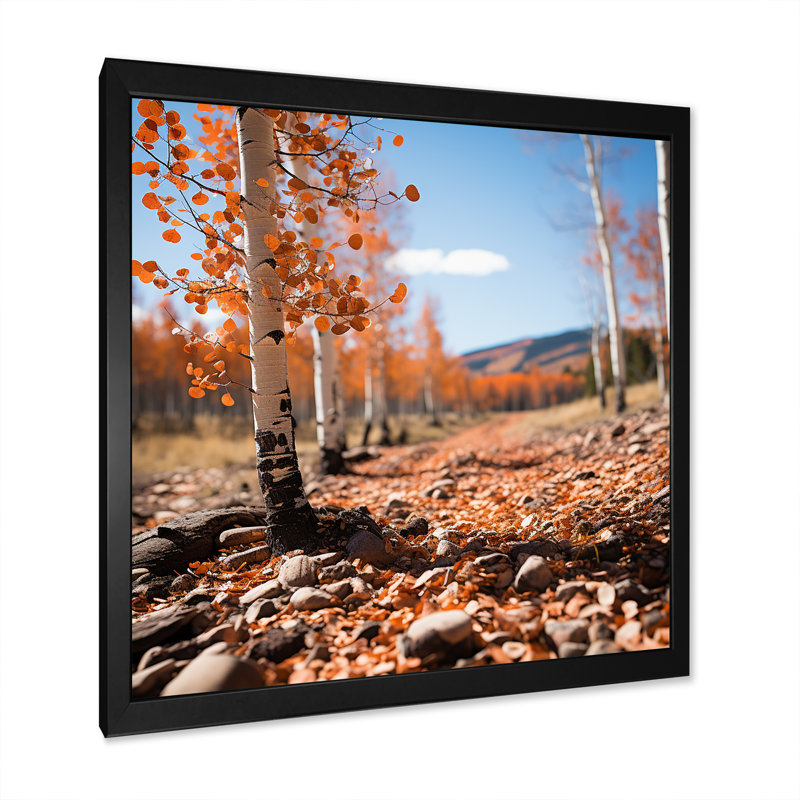 Aspen Tree Forest Majesty II - impression d'art mural paysage, Cadre simple noir, H 36 po x l 36 po x P 1,5 po