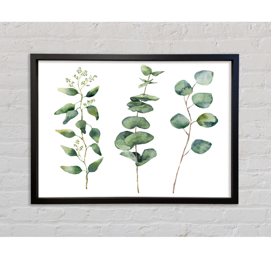 Three Green Foliage Stems - Einzelne Bilderrahmen Kunstdrucke auf Leinwand