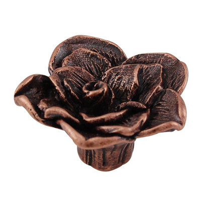 Carlotta Novelty Knob