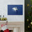 No Frame Print on Canvas-478983967