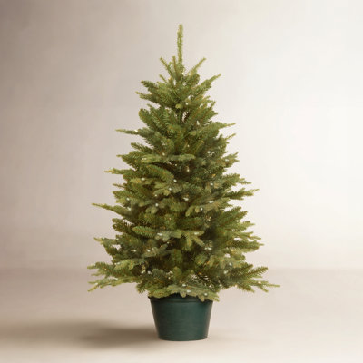 Potted 3' Pre-Lit Pine Christmas Tree