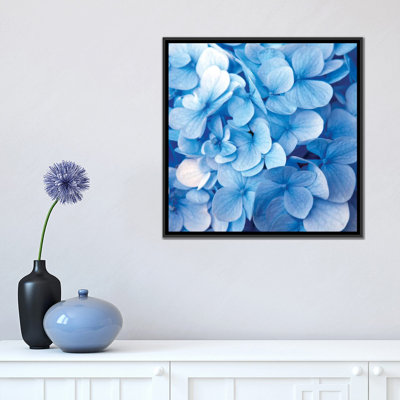 " Blue Flowers " by PhotoINC Studio